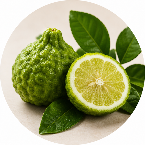 BERGAMOT