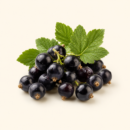 BLACKCURRANT