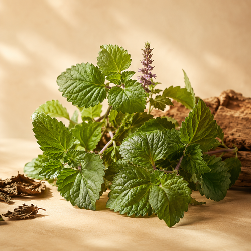 PATCHOULI