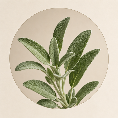 SAGE